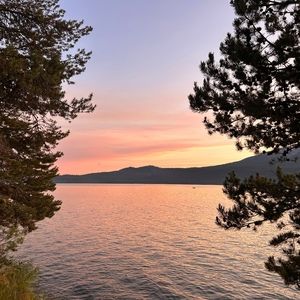 Meet your Posher, Willow